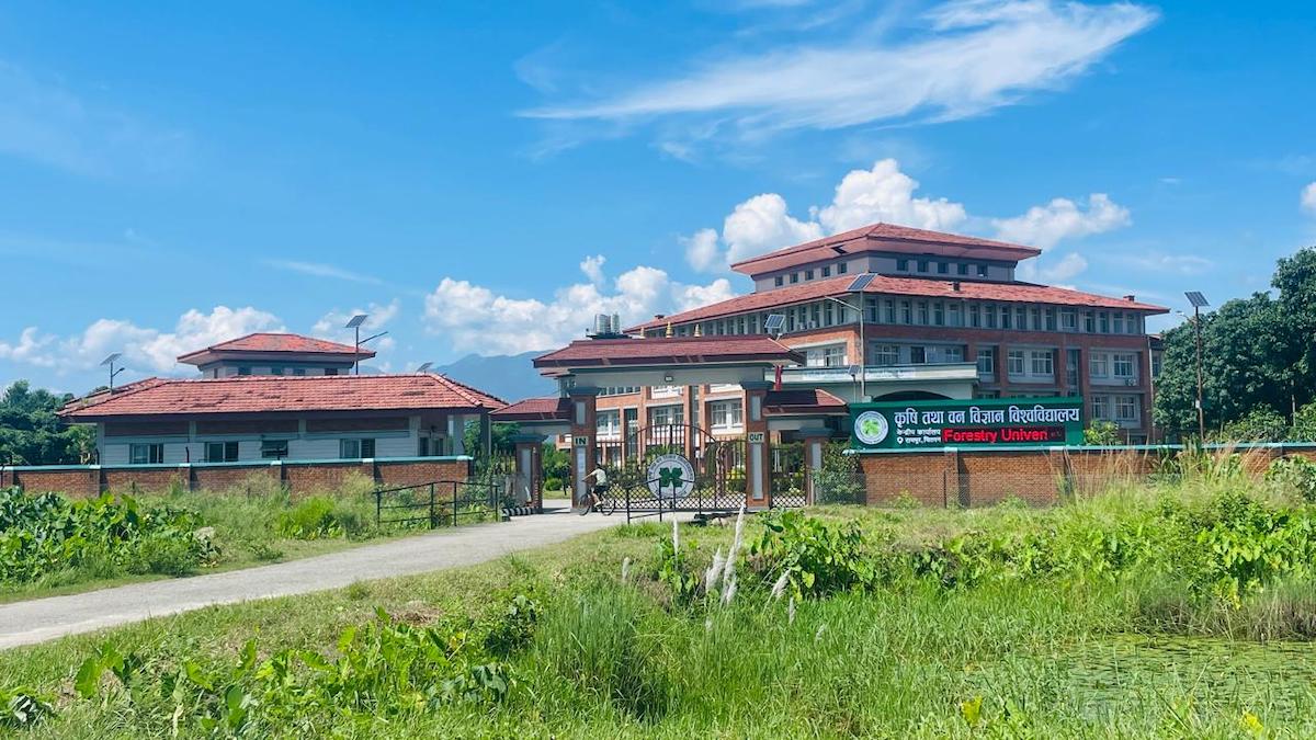 ‘थेसिस’को नतिजा राकिँदा विद्यार्थी समस्यामा