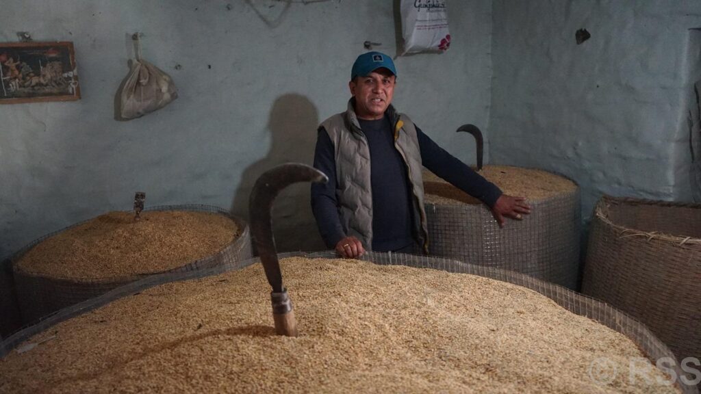 विदेश र बजारबाट गाउँ फिरेका ध्रुर्व रैथाने खेती